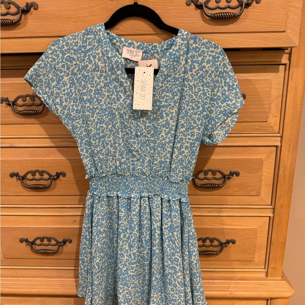 Sienna Sky Floral Blue and cream dress